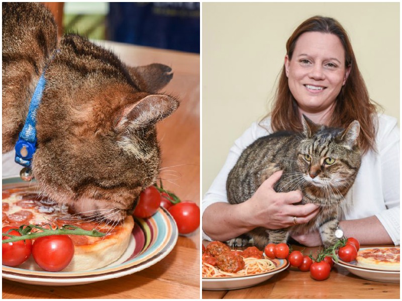Одержимость кота помидорами помогла выявить у него редкую болезнь
