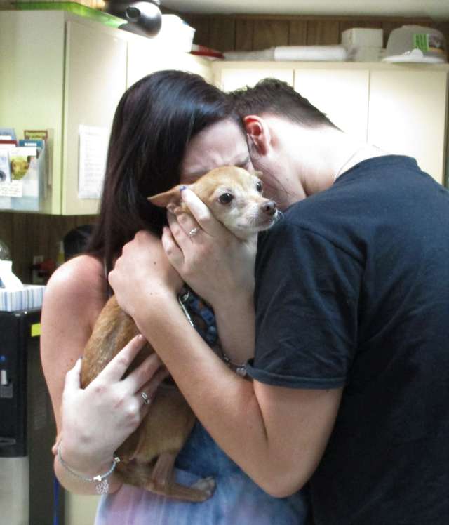 Хозяева расплакались от счастья, встретив своего пса 6 лет спустя