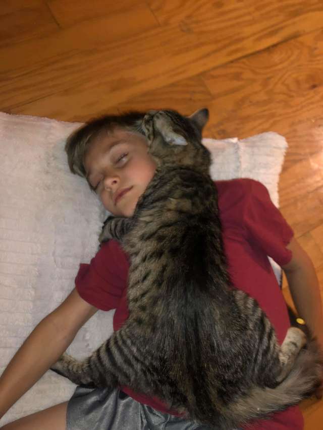 Котенок не может заснуть, не обняв своего маленького хозяина