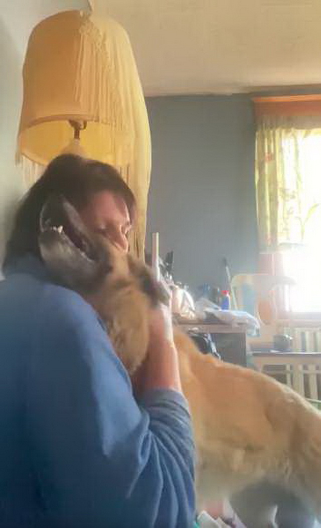 Собака три месяца бежала к дому женщины, которая когда-то спасла ей жизнь