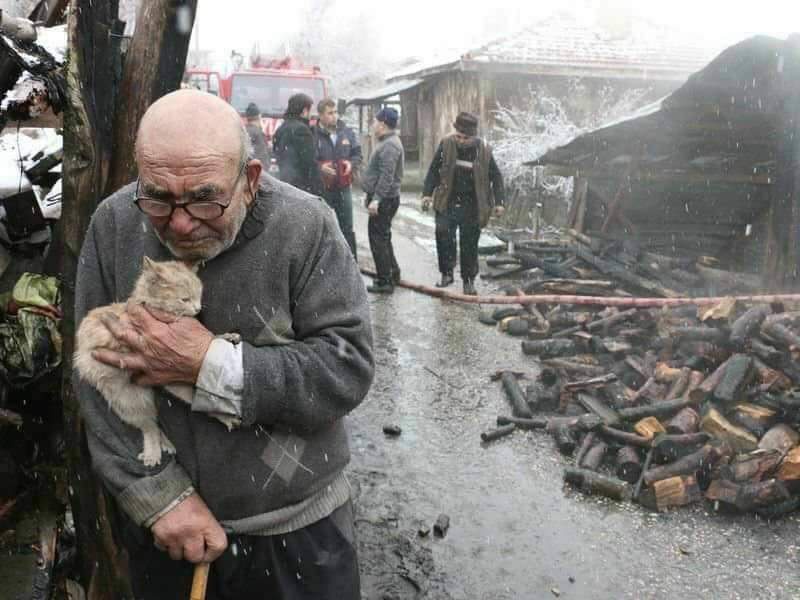 3. Турецкий мужчина со своим котенком после того, как у него сгорел дом