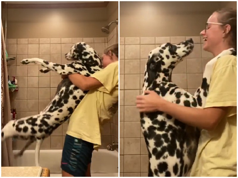 Хозяйка показала неудачную попытку помыть собаку в ванной
