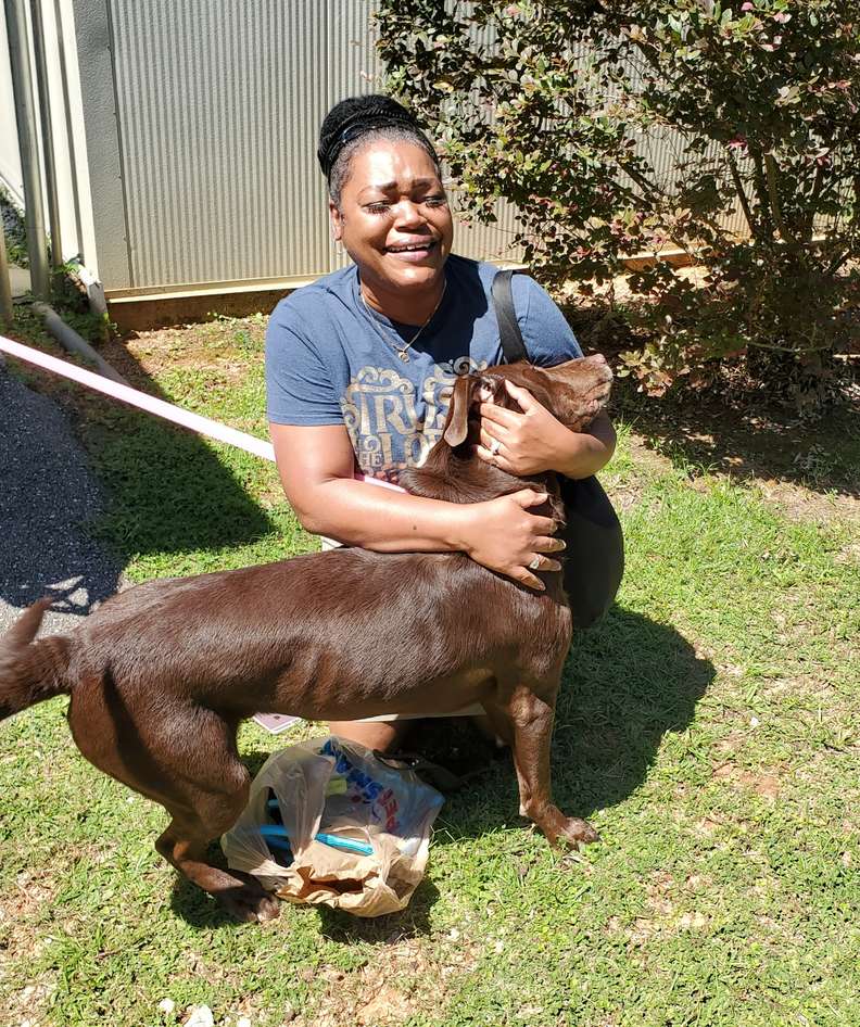 Женщина не сдержала слез, встретив свою собаку после 2 лет разлуки