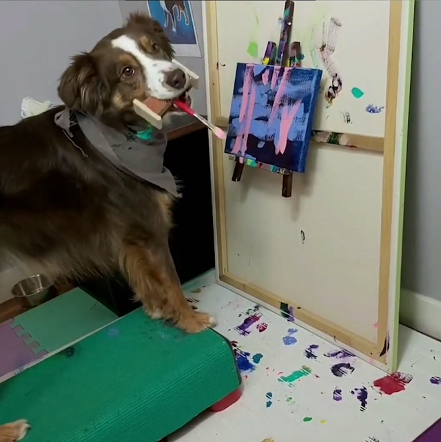 Талантливый пес рисует картины кистью в зубах