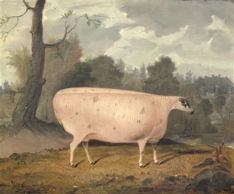 Четырехугольные животные: почему на картинках 18 века художники рисовали угловатый скот