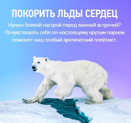 В России запустили сайт со звуками живой природы Арктики 