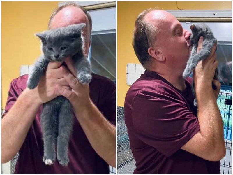 Сердце волонтера приюта растаяло, когда он увидел крохотного котенка