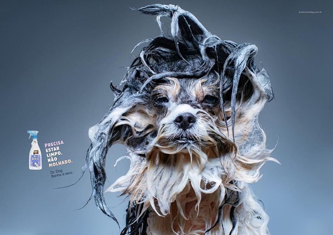 Кстати, собак нужно мыть специальным шампунем, потому что человеческий им не подходит