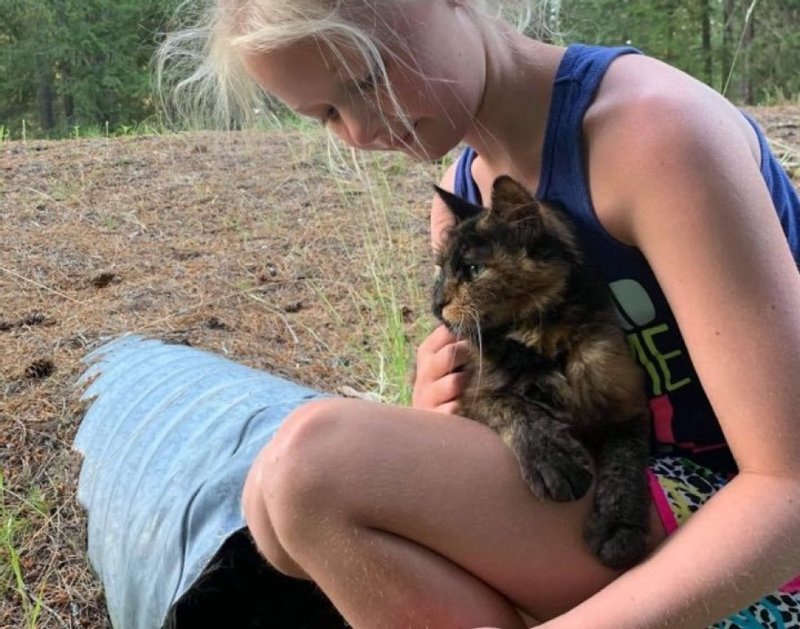 Маленькая девочка заметила в трубе кошку - ее перепуганные глаза умоляли о помощи