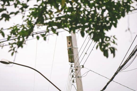 Электрик снёс прогнивший столб, но нашел способ сохранить дом тукана