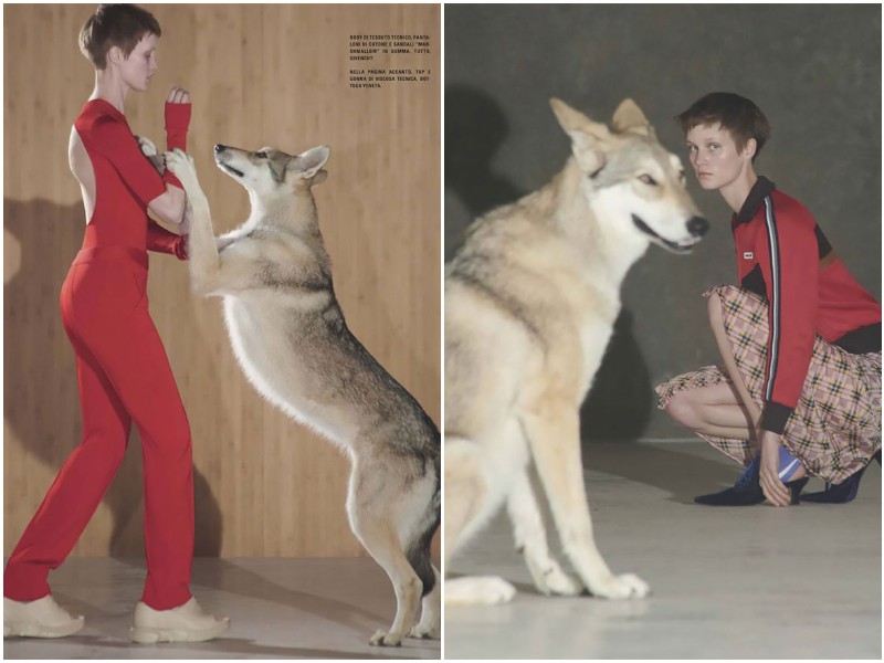 Vogue Italia посвятил номер красоте животных