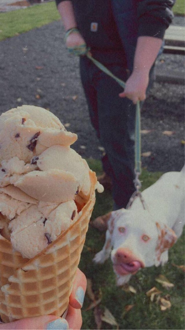3. Взгляд любви к мороженому