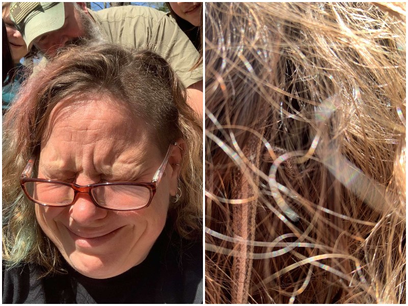 Во время пикника в волосы женщины закралась ящерица