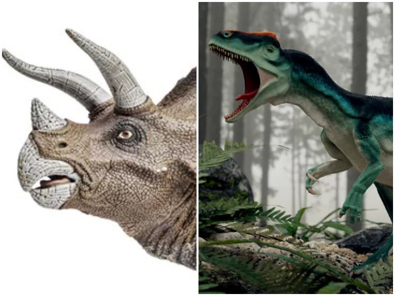 12 самых опасных динозавров, обитавших на планете