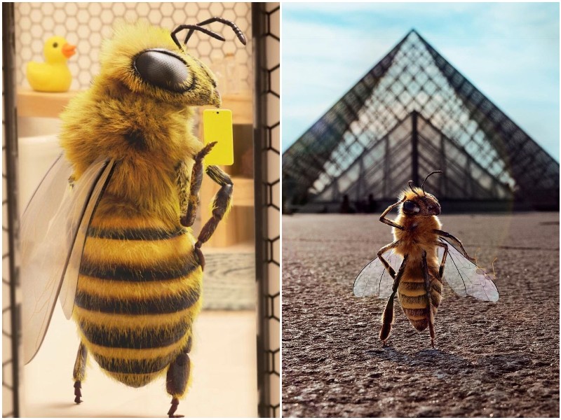 Пчела ведет "блог" ради спасения сородичей