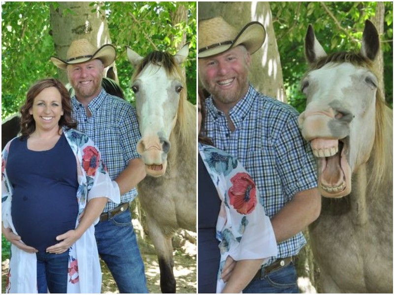 Лошадь смешно влезла в кадры семейной фотосессии