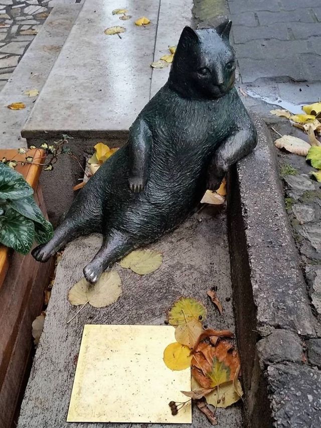 За какие заслуги в Стамбуле установили памятник коту