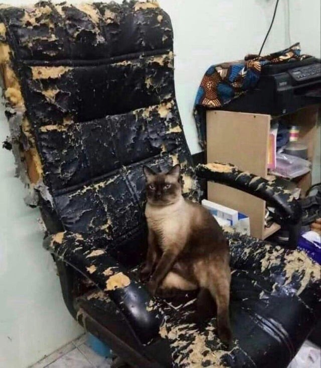 "Мне кажется, или пора менять кресло?"