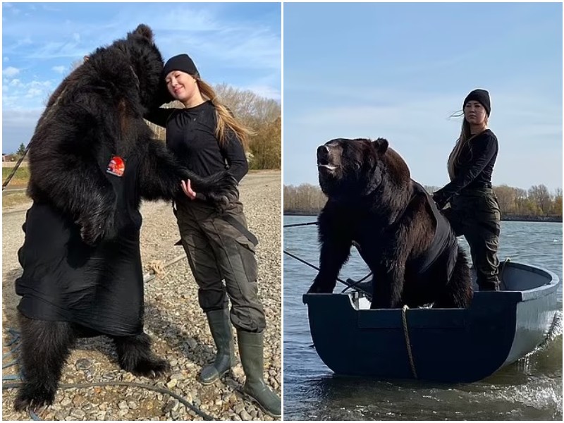 Сибирячка порыбачила с бурым медведем на фотосессии