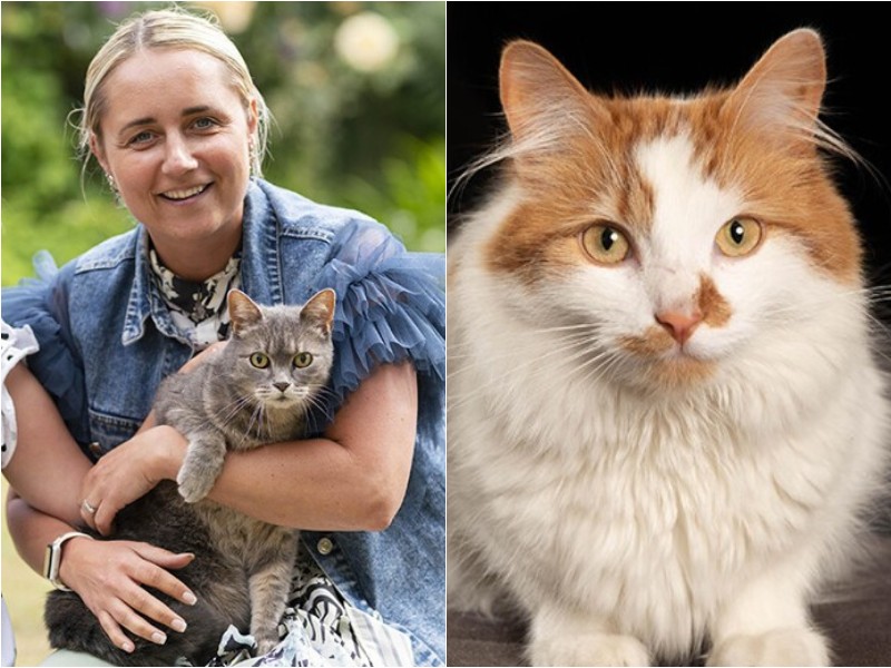 Трогательные истории о том, как кошки изменили жизнь своих хозяев