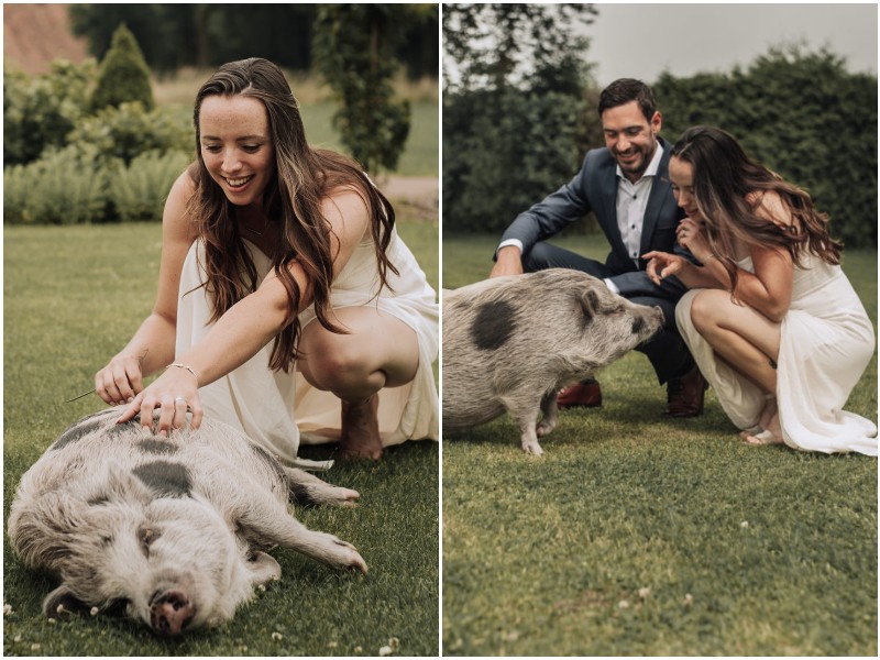 Пара устроила свадебную фотосессию с необычным питомцем - свинкой