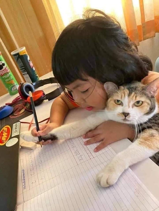 Кошка делает домашку с малышкой