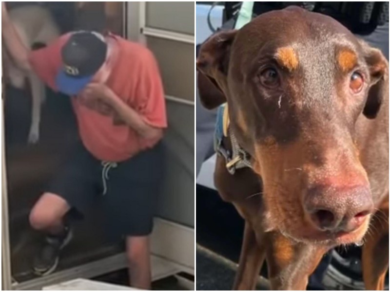 Мужчина не сдержал слез, когда увидел своего потерявшегося пса