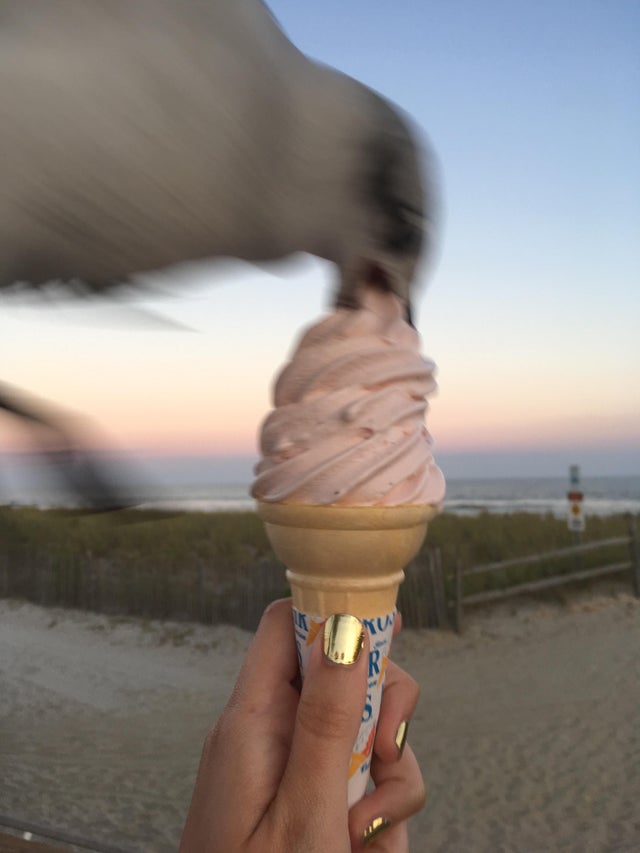 Вывод: фотографировать мороженое на пляже не самая лучшая затея