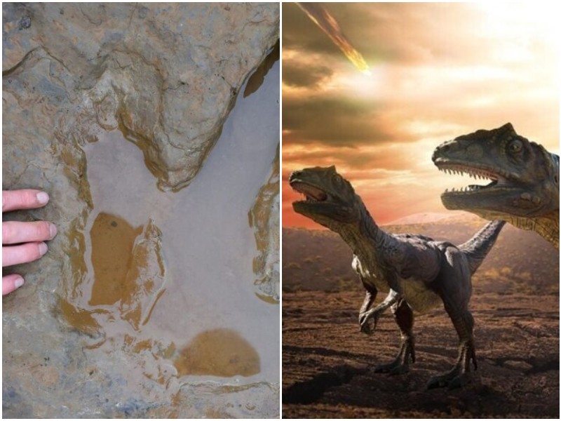 Испанские ученые узнали скорость бега динозавров