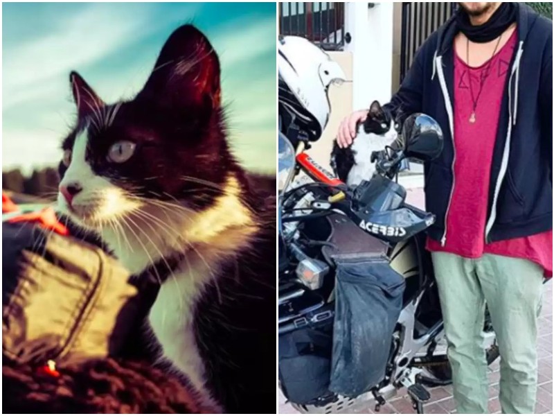 Парень спас бездомную кошку, и решил показать ей мир