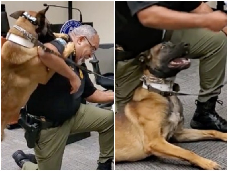 Смешная реакция полицейского пса на присягу 