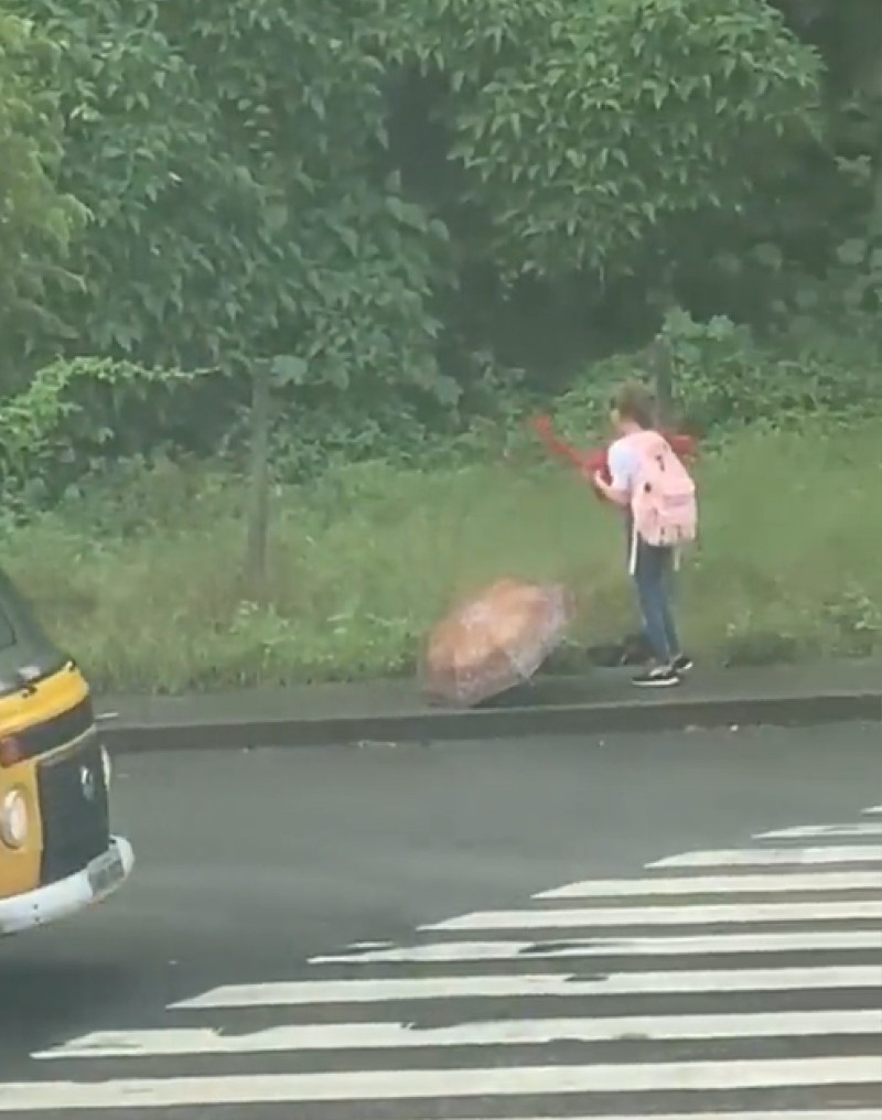 По пути из школы девочка спасла щенка, который лежал под дождём