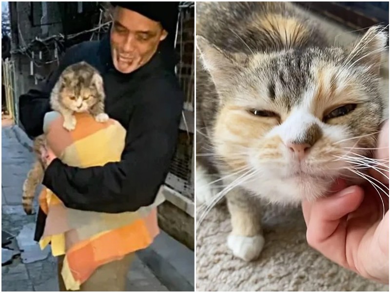 Слепая кошка благодарила мужчину, который подобрал её на улице