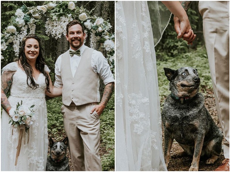 Собака стала звездой свадебной фотосессии хозяев