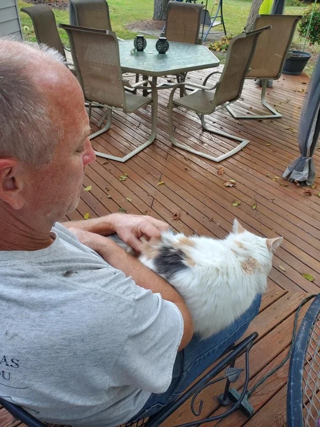 Папа не хотел кошку