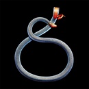 Фотограф решил создать серию фотографий со змеями и поплатился