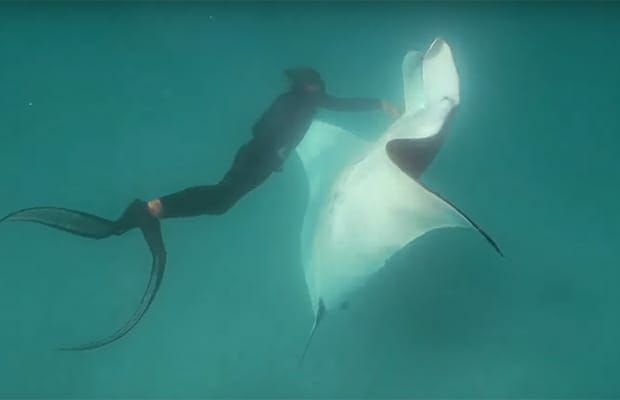 Подводный фотограф помог морскому дьяволу
