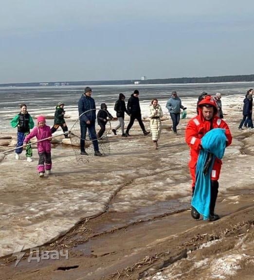В Санкт-Петербурге спасли тюленя, который застрял на льдине