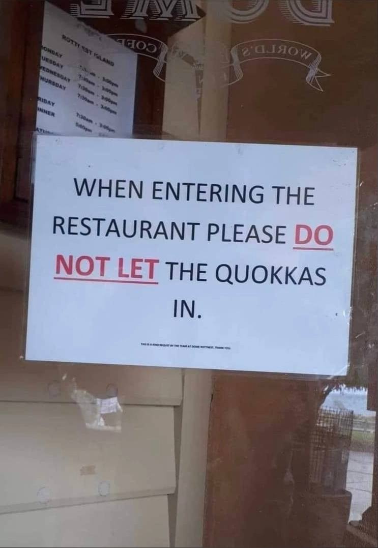 Владельцы ресторана в Австралии просят не пускать квокк в заведение