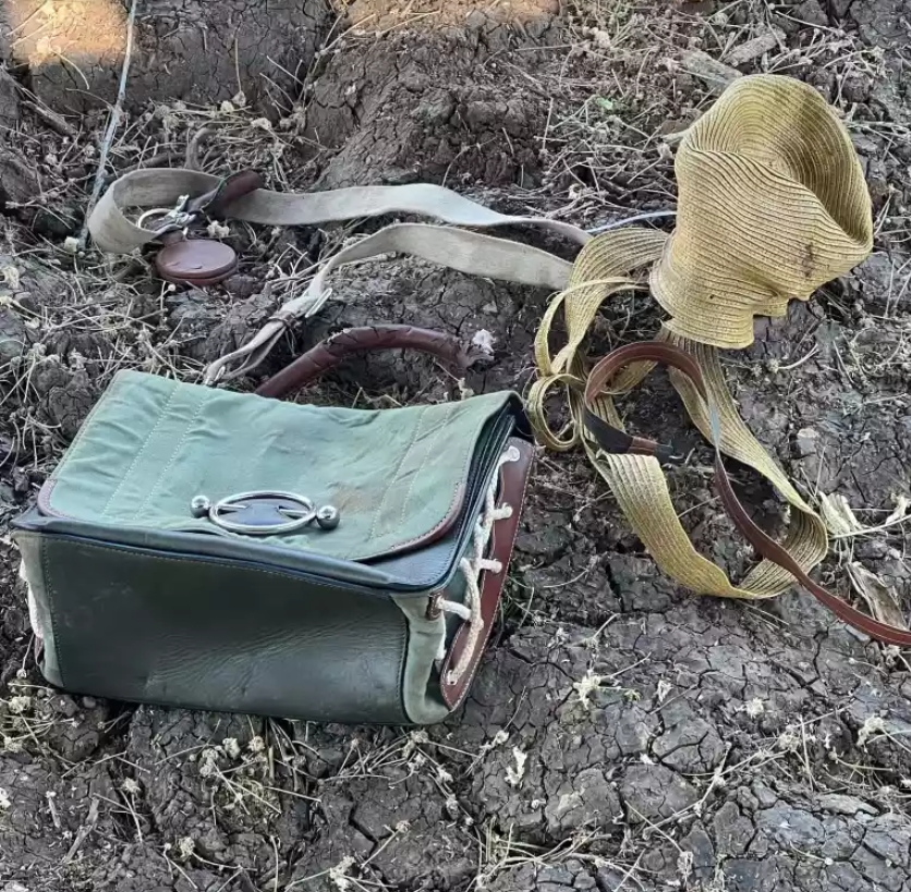 Львицы в Намибии украли у женщины сумочку, чтобы исследовать